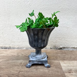 May include: A dark gray metal planter with a fluted design and a pedestal base. The planter is filled with green leafy plants.