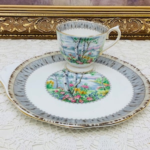 Royal Albert Silver Birch snack tray/tennis tray circa 1970’s.