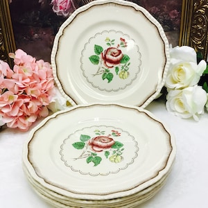 RARE 1930&#39;s Royal Doulton Beaconsfield dinner plate