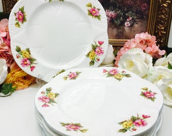 Shelley Begonia dinner plate