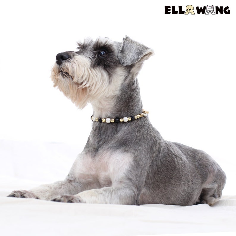 Designer Unbreakable Pearls Dog Collar Cat JewelryUnique Etsy