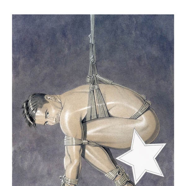HUNG, male, nude, gay, erotic, art, adult, mature, figure, painting, giclee, print