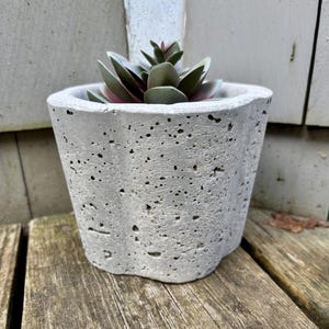 Hypertufa Planter, Hypertufa Pot, Planter, Pot, Succulent Planter,Succulent Container, Herb Planter, Garden Decor, Home Decor, Handmade