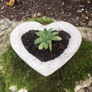 Jardinière en hypertufa, pot en hypertufa, plante grasse, jardinière, pot, coeur, décoration de jardin, décoration d'intérieur, cadeau de la Saint-Valentin, cadeau d'anniversaire
