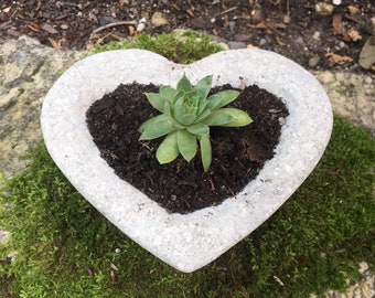 Hypertufa Planter, Hypertufa Pot, Succulent Planter, Planter, Pot, Heart, Garden Decor, Home Decor, Valentines Gift, Anniversary Gift