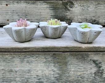 Handmade Hypertufa Planter Set, Hypertufa Pot, Planter, Pot, Succulent Planter, Herb Pot, Tiny Tufa Pots, Home Decor, Rustic Garden Decor