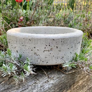 Hypertufa Planter, Hypertufa Pot, Planter, Pot, Succulent Planter,Succulent Container, Herb Planter, Garden Decor, Home Decor, Handmade