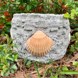 Hypertufa Planter, Hypertufa Pot, Planter, Pot, Succulent Planter, Garden Decor, Home Decor, Beach Cottage Decor, Sea Shells, Coastal, Beach