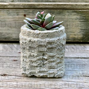 Hypertufa Planter, Hypertufa Pot, Planter, Pot, Succulent Planter, Herb Planter, Garden Decor, Home Decor, Flower Pot, Rustic, Unique