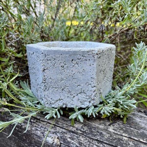 Handmade Hypertufa Planter: Hypertufa Pot, Planter, Pot, Rustic Succulent and Herb Pot, Herb Planter, Garden Decor, Home Decor