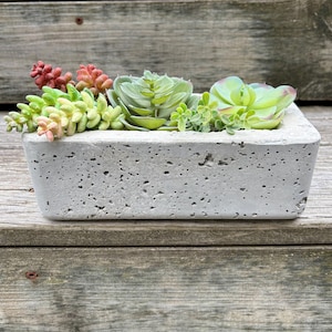 May include: A rectangular concrete planter filled with assorted faux succulents in shades of green, red, and yellow. The planter has a rough, textured surface and sits on a wooden surface. The arrangement includes various succulent types.