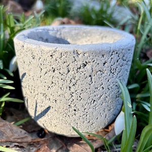 May include: A small, cylindrical, gray concrete planter with a textured surface. The planter is outdoors, surrounded by green grass, brown leaves, and white snowdrop flowers. The planter is empty and ready for planting.