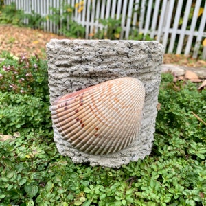 Hypertufa Planter, Hypertufa Pot, Planter, Pot, Succulent Planter, Herb Planter, Garden Decor, Home Decor, Beach Cottage Decor, Sea Shell