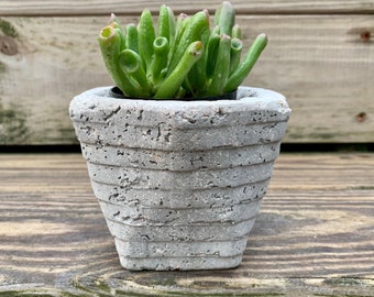 Hypertufa Planter, Hypertufa Pot, Planter, Pot, Succulent Planter, Garden Decor, Home Decor, Handmade, Unique, Rustic, made in Maine, herbs