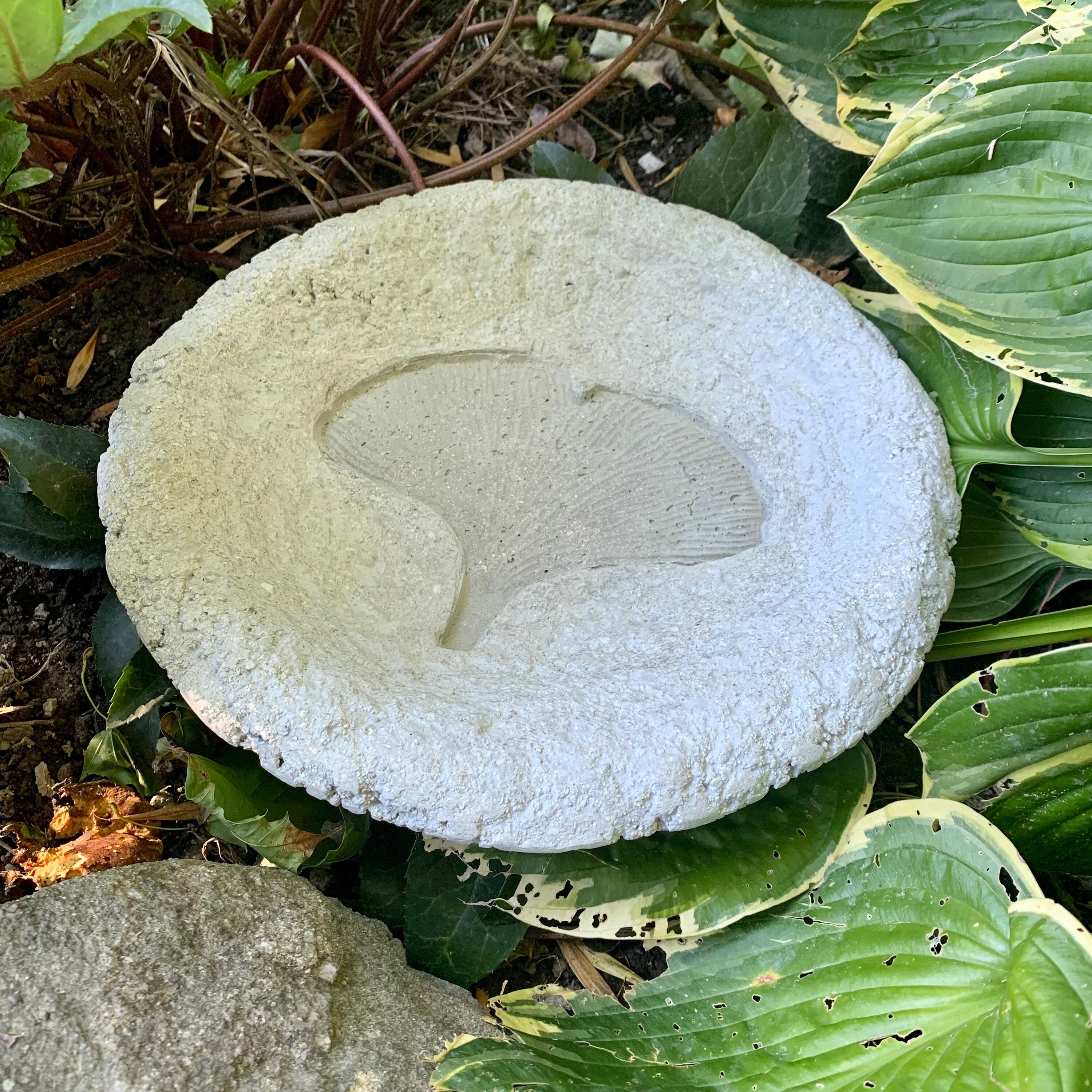 Hypertufa Birdbath Birdbath Ginkgo Garden Decor Yard Art Etsy