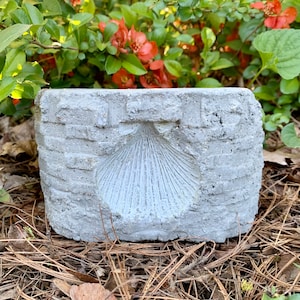 Hypertufa Planter, Hypertufa Pot, Planter, Pot, Succulent Planter, Garden Decor, Home Decor, Beach Cottage Decor, Sea Shell, Handmade, Shell