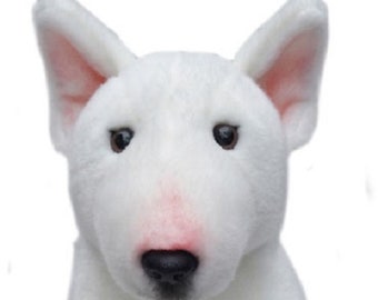 bull terrier teddy