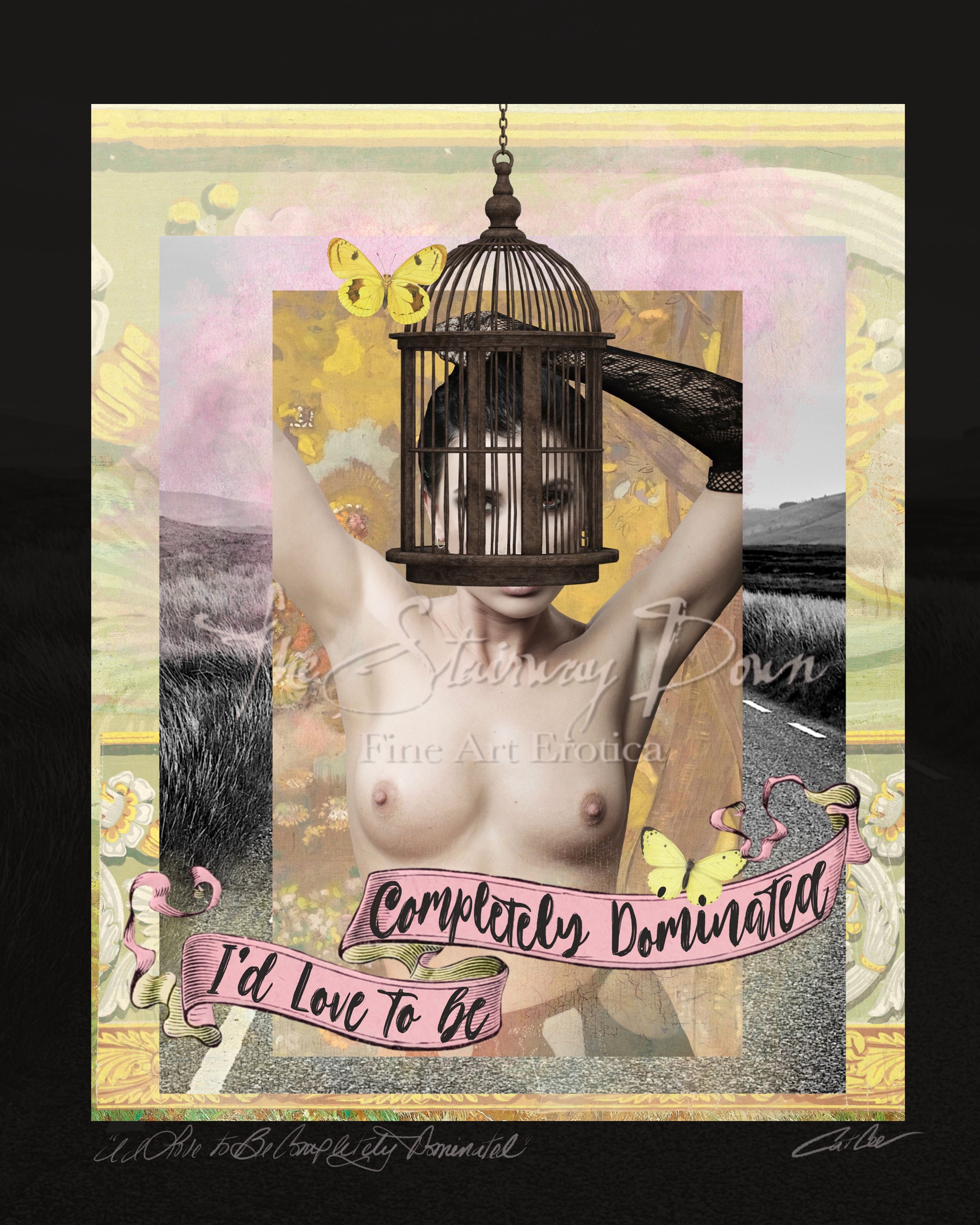 Kinky Bdsm Cage Art Collage Fetish Art