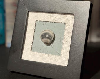 Handpicked Seashell on Blue Textured Paper | 4x4 Frame | Home Decor | Coastal