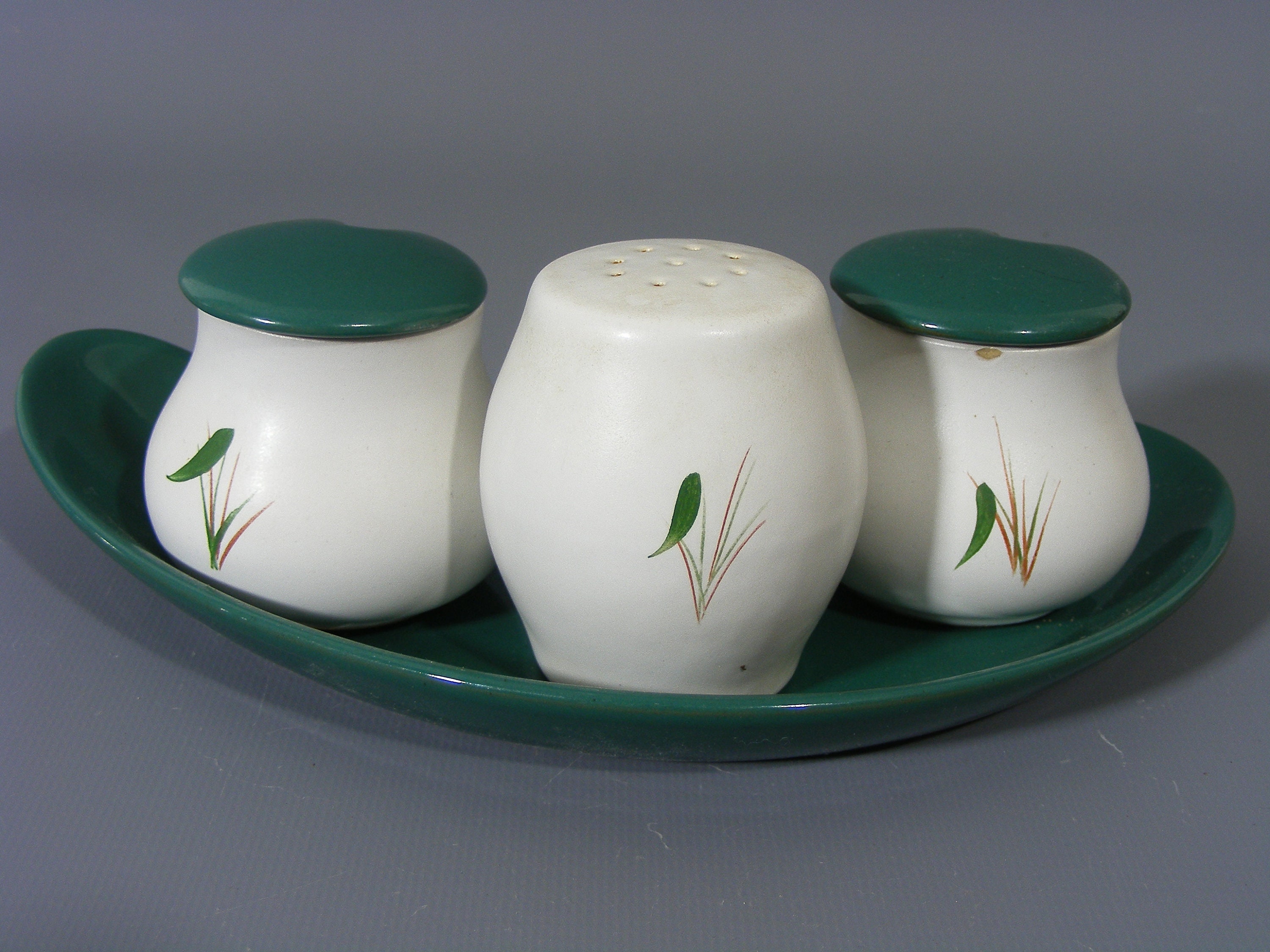 Vintage Denby Greenwheat Cruet Set Denby Condiment Set Etsy 日本