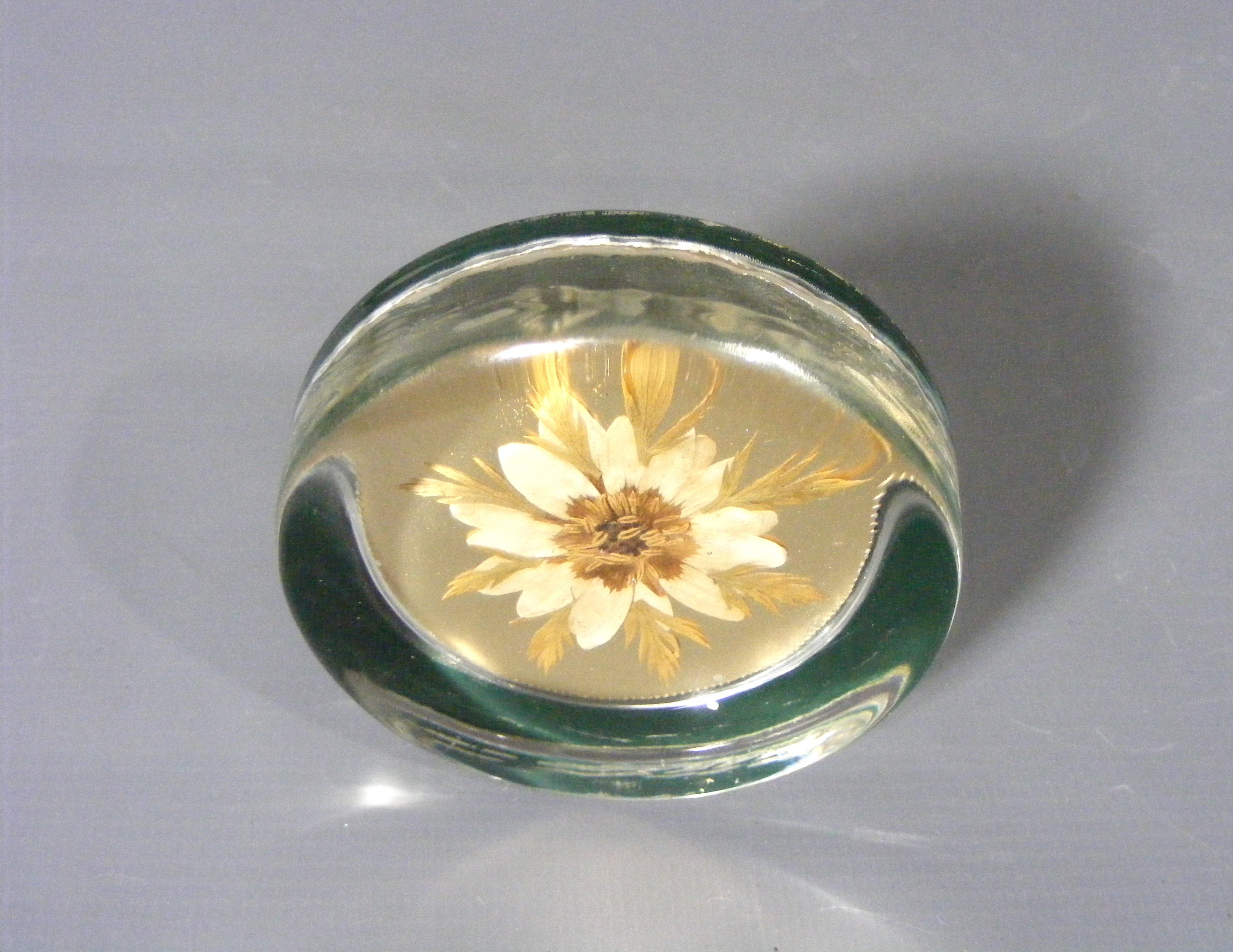 Vintage Dried Flower Paperweight Round Flower Paperweight Etsy