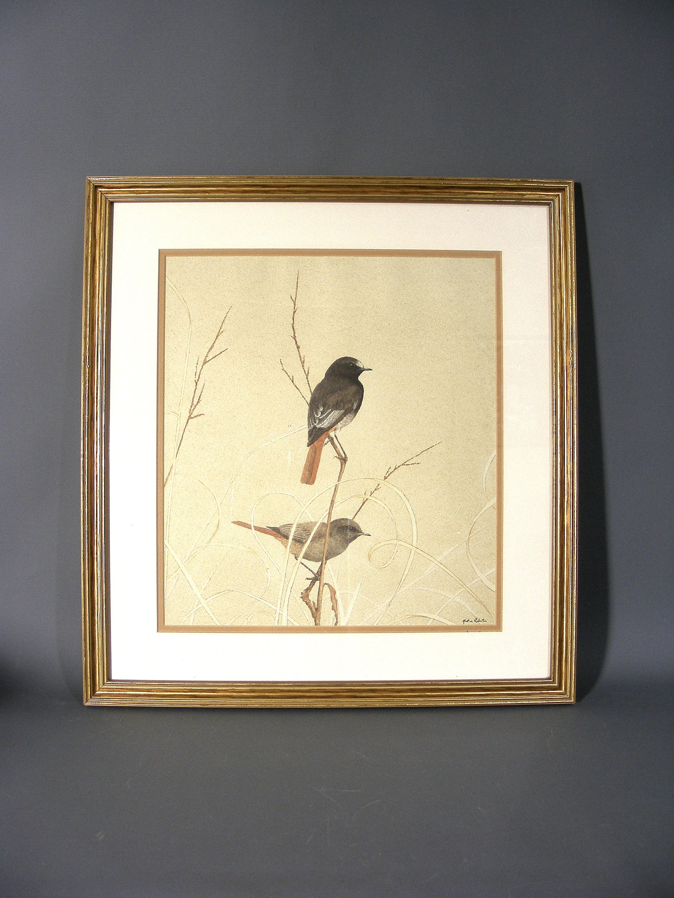 Vintage Black redstart Print Wall Art