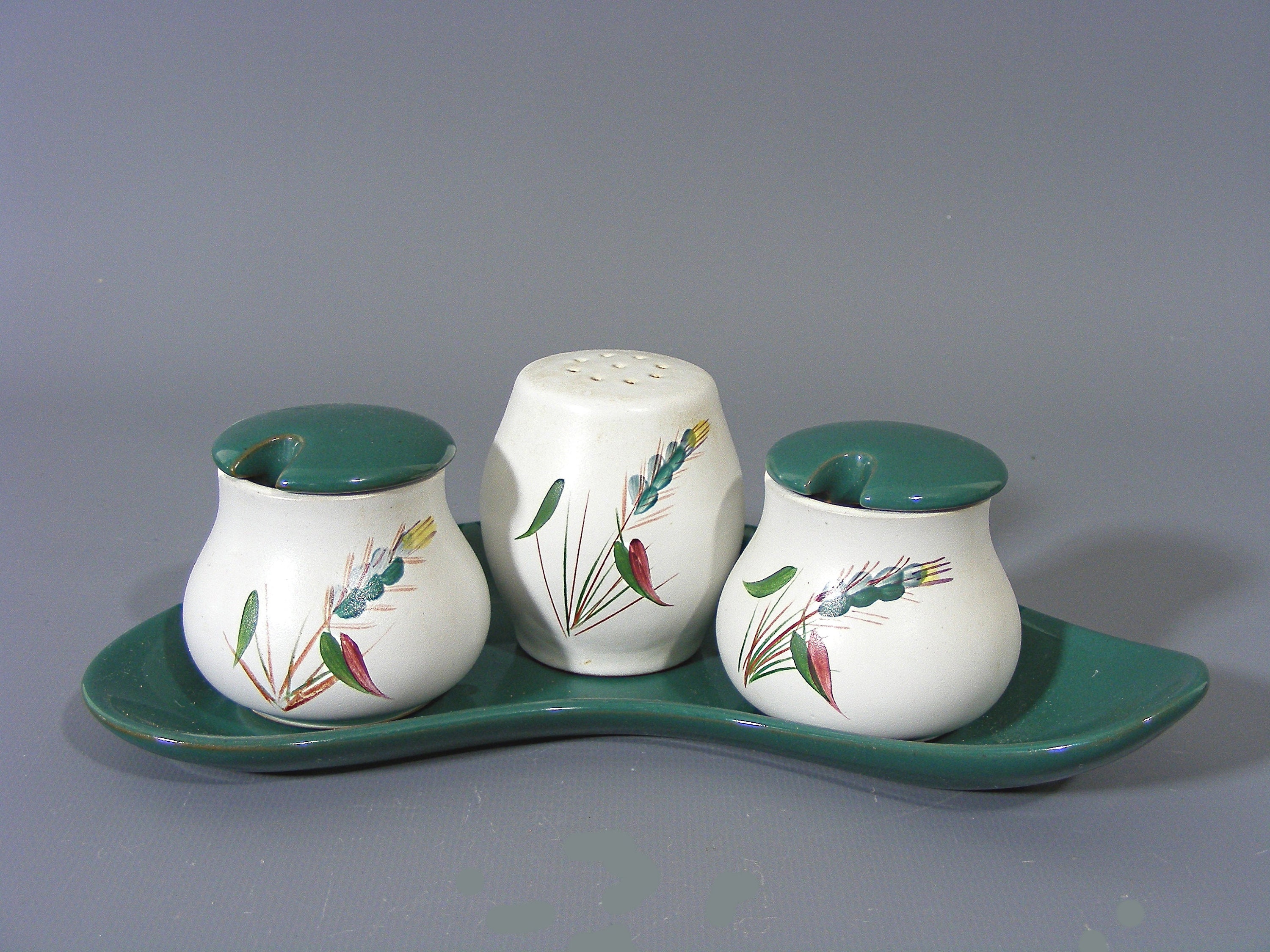 Vintage Denby Greenwheat Cruet Set Denby Condiment Set Etsy
