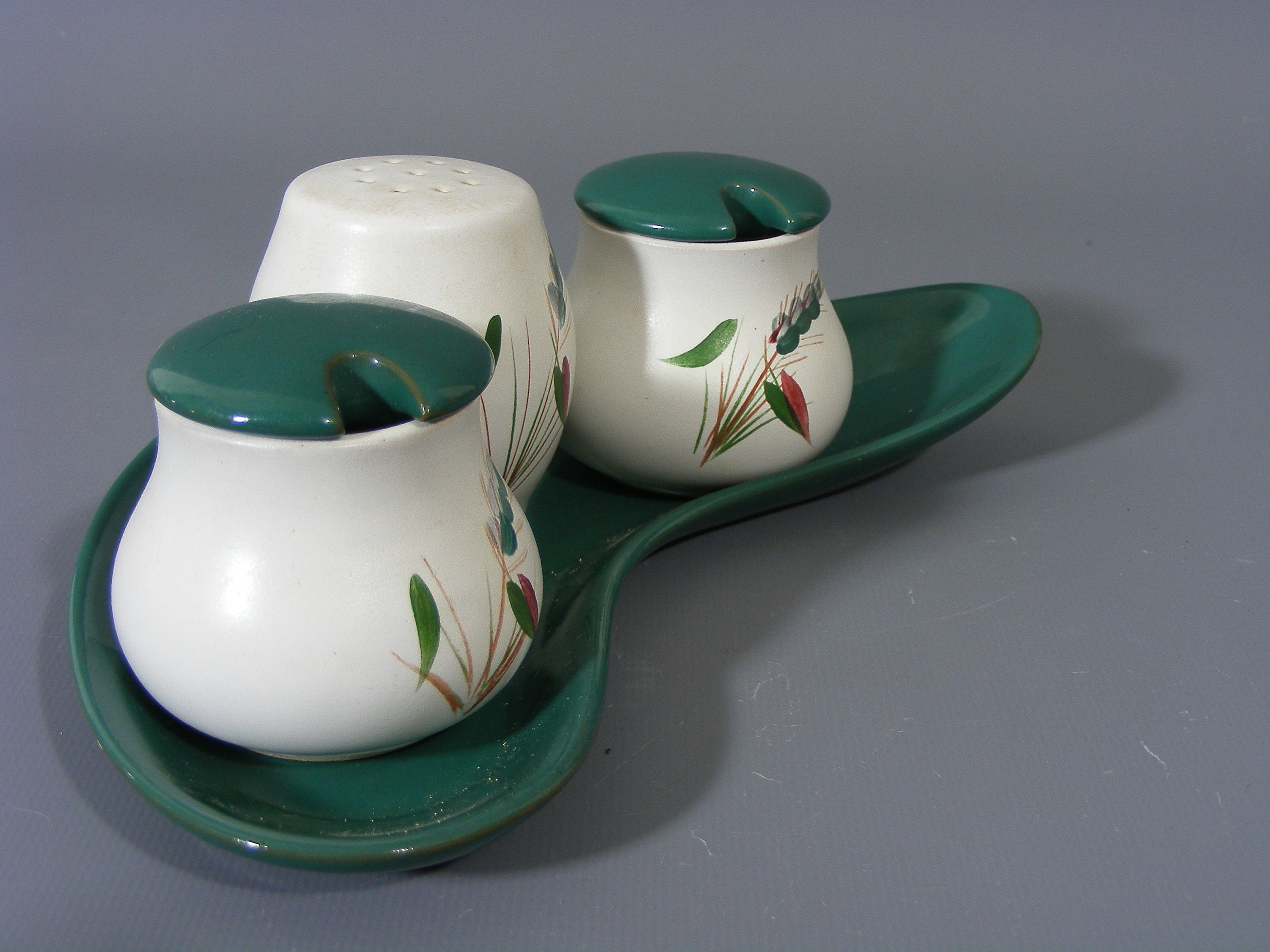 Vintage Denby Greenwheat Cruet Set Denby Condiment Set Etsy