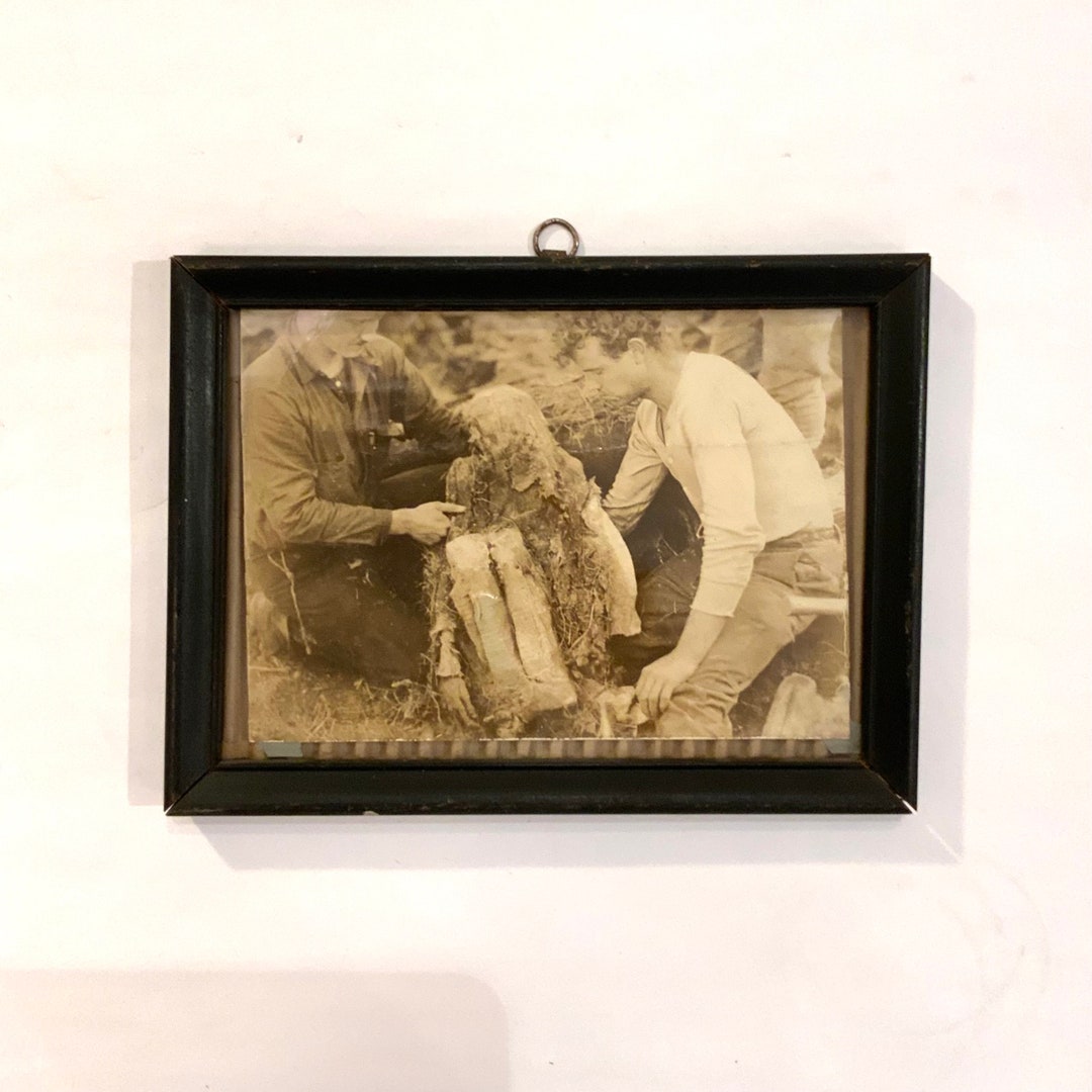 Harold Mccracken Mummy Original Photograph Chieftain Mummy Etsy