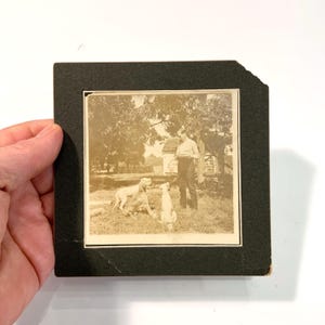 Dog Cabinet Card Photo with Three Hunting Dogs, Ca: 1900.