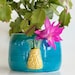 see more listings in the +  Flower Planters Pots section