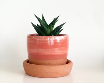 Terracotta Cactus Planter, Cactus Pot, Succulent Pot, Terracotta Pot, Planter with Drainage, Southwest Pot, Southwest Style Planter