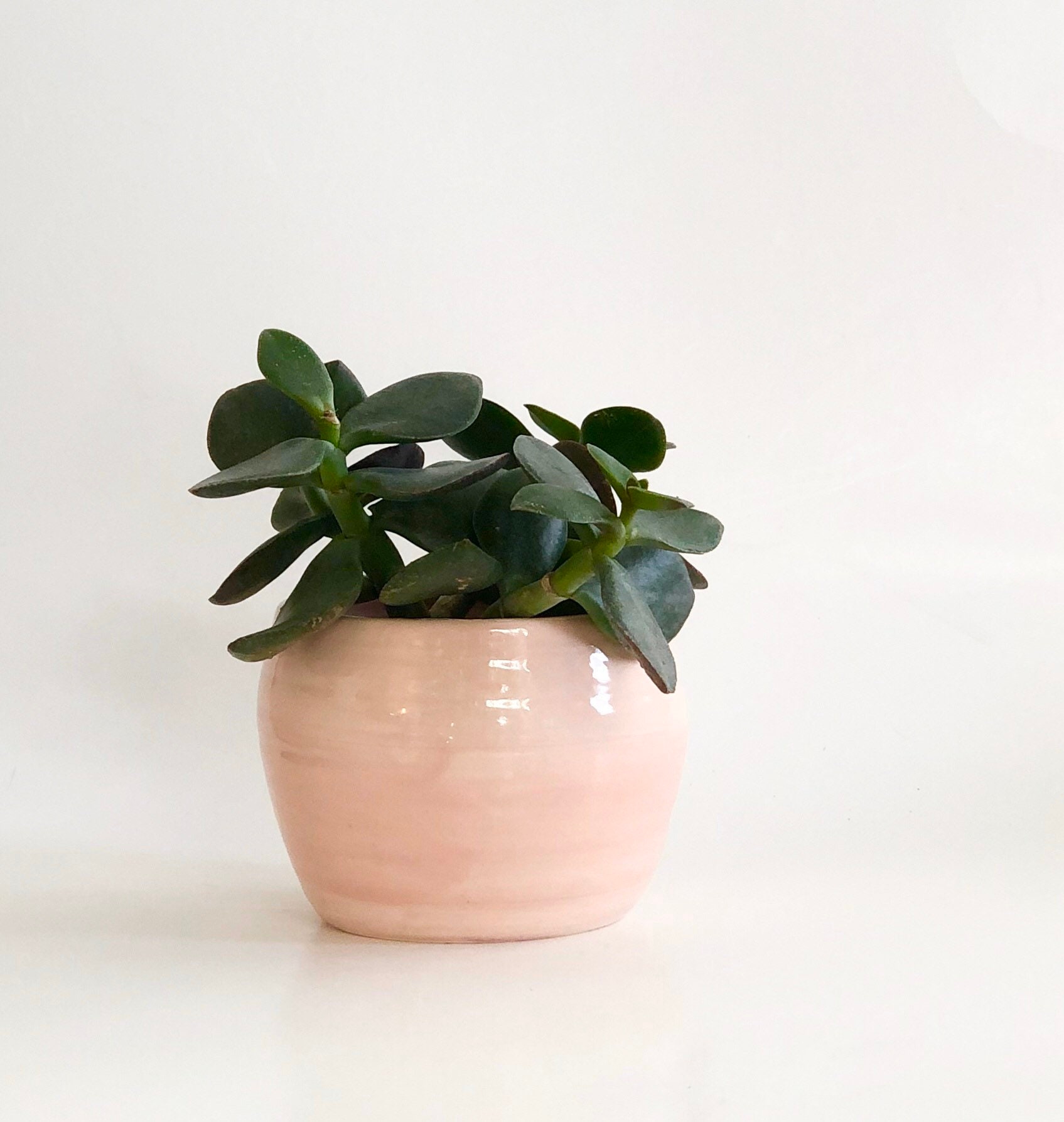 Mini Pink Planter Pot
