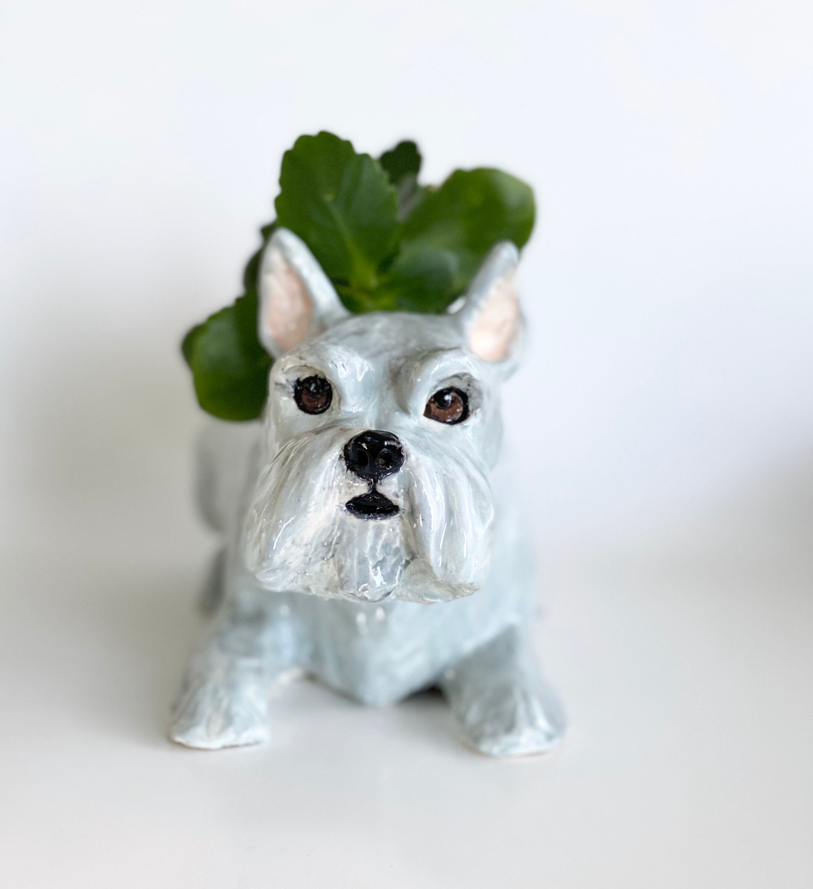 Dog Plant Pot Schnauzer Planter Dog Planter Schnauzer Lover Etsy