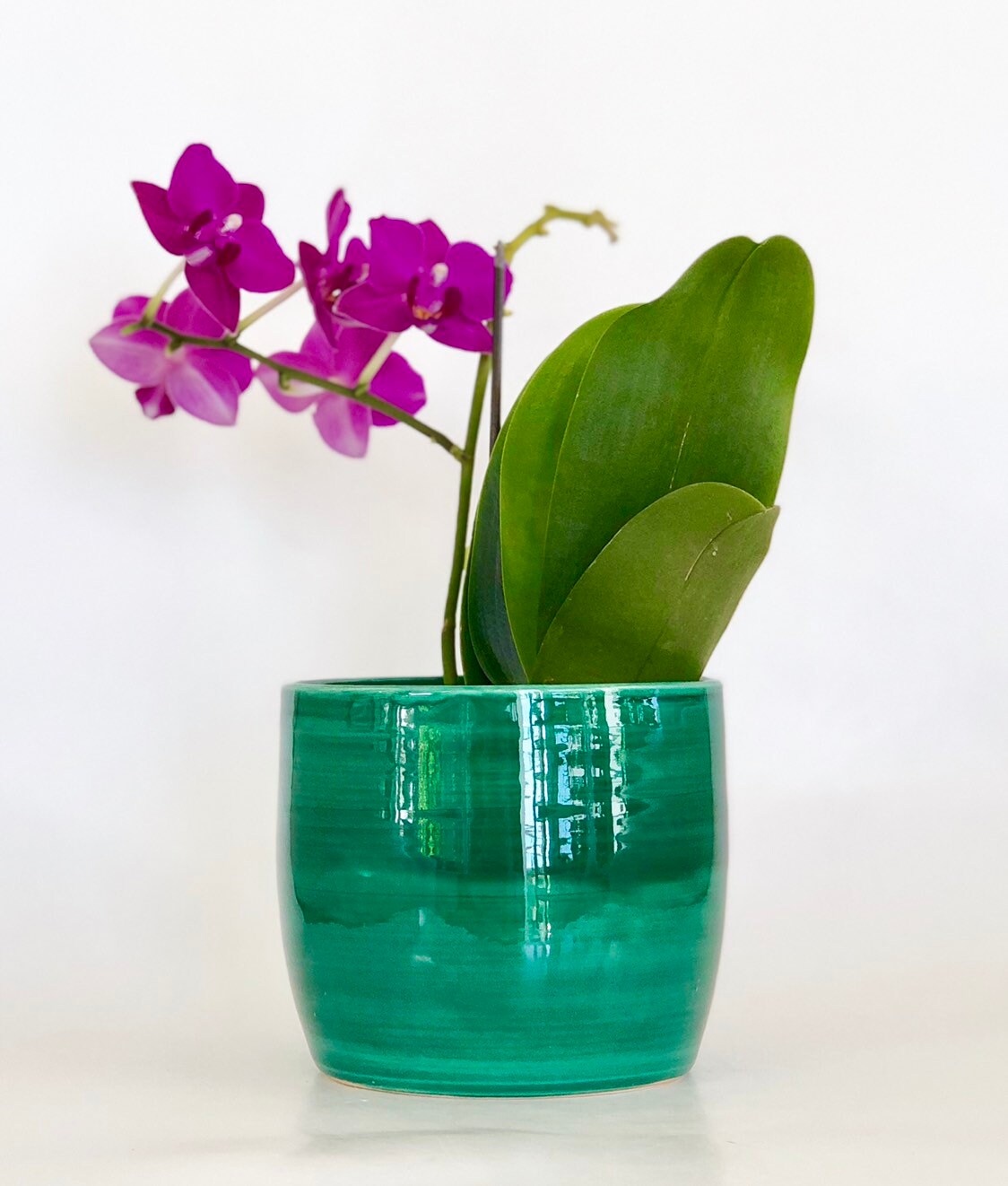 Small Planter, Green Planter Pot, Emerald Green Planter, Boho Planter