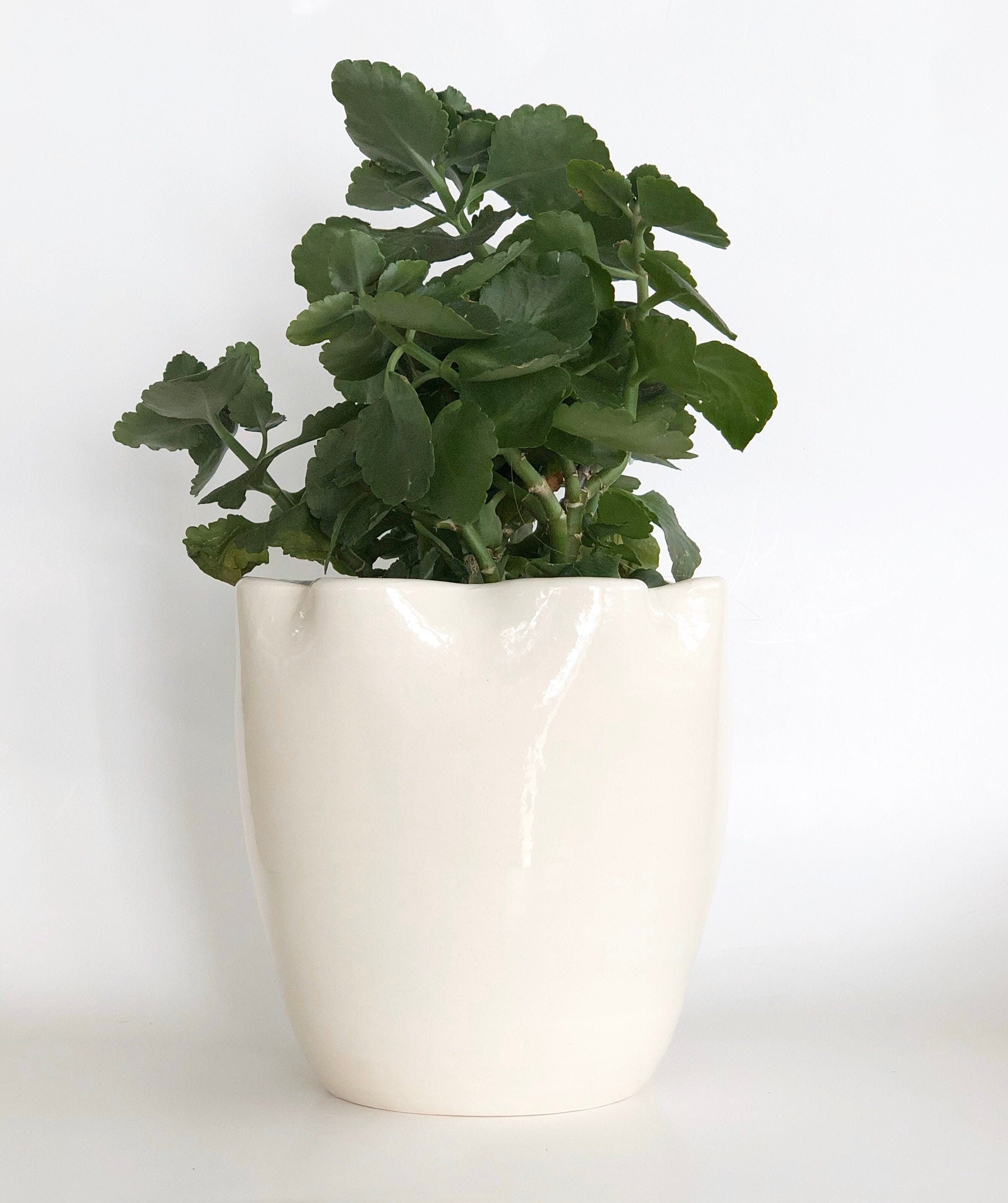 Off White Planter Pot, White Planter With Drainage, Beige Planter Pot