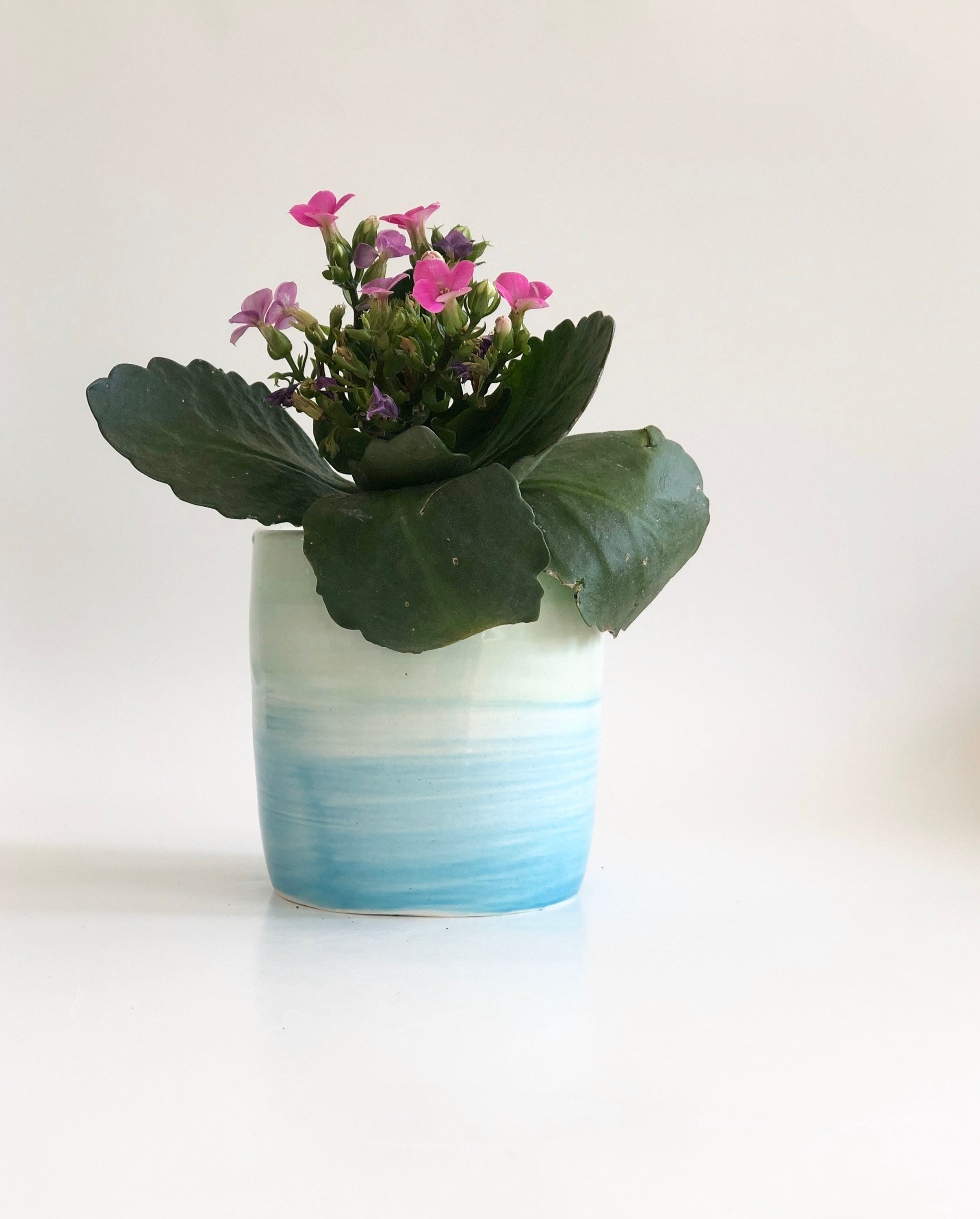 Turquoise Planter, Small Pot, Small Planter, Small Green Pot, Pot with