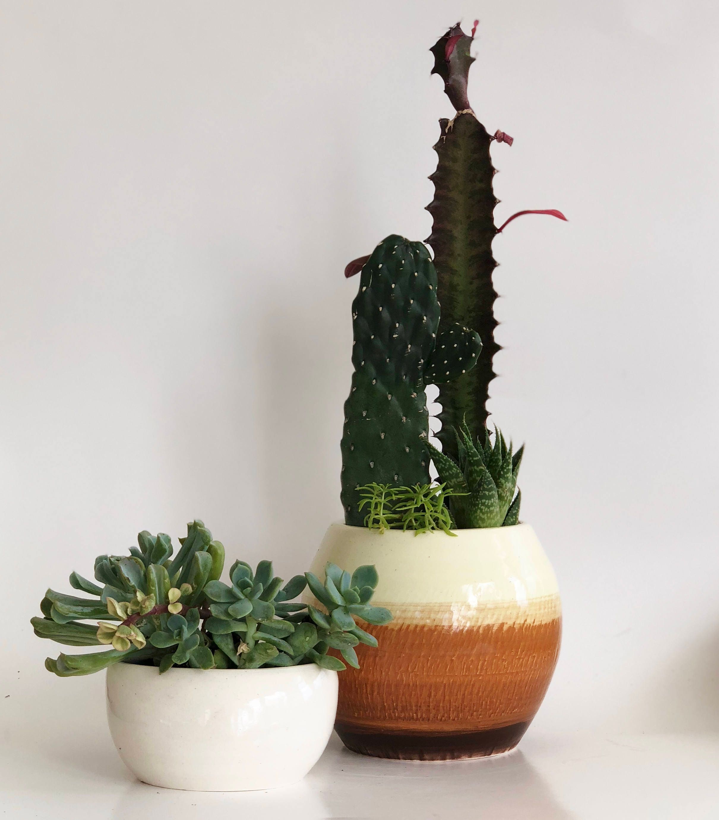 Tan Planter, Earth Toned Planter, Desert Planter, Southwest Planter