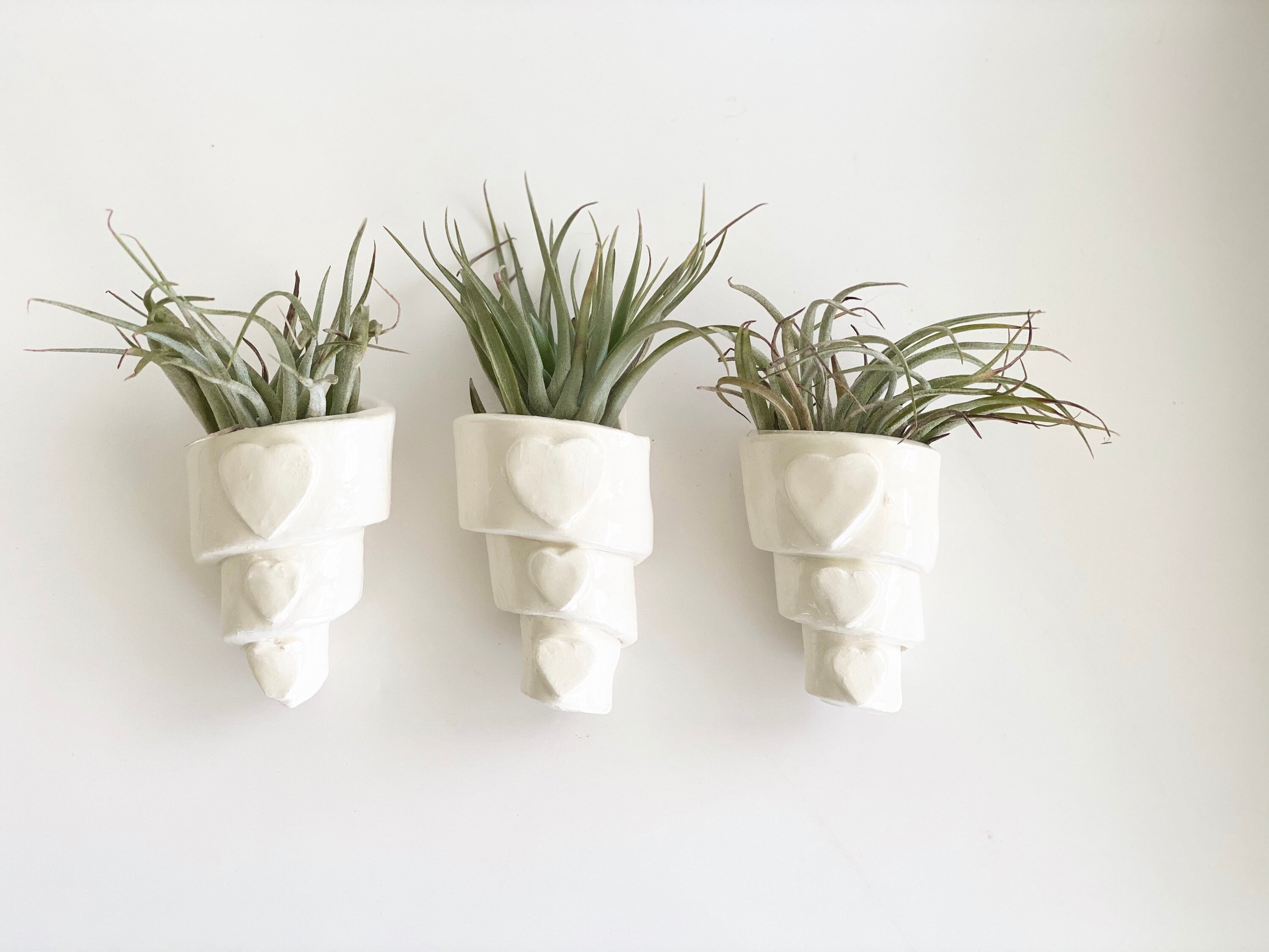 Air Plant Holder, White Wall Planter, Air Plant Wall Holder, Air Plant