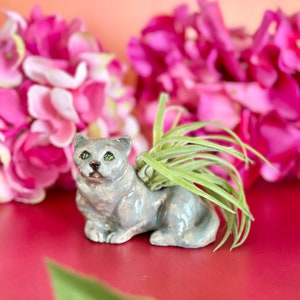 Indoor Cat Pot Cat Planter Cat Air Planter Cat Lady Gift Planter Pot Cat Lover Gift Succulent Holder Plant Lover Gift Cat Gift image 1