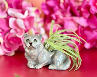 Mini Cat Planter Indoor Air Planter Cat Mom Birthday Handmade Cat Sculpture Air Plant Cat Lady Gift Gray Ceramic Handmade Cat Birthday