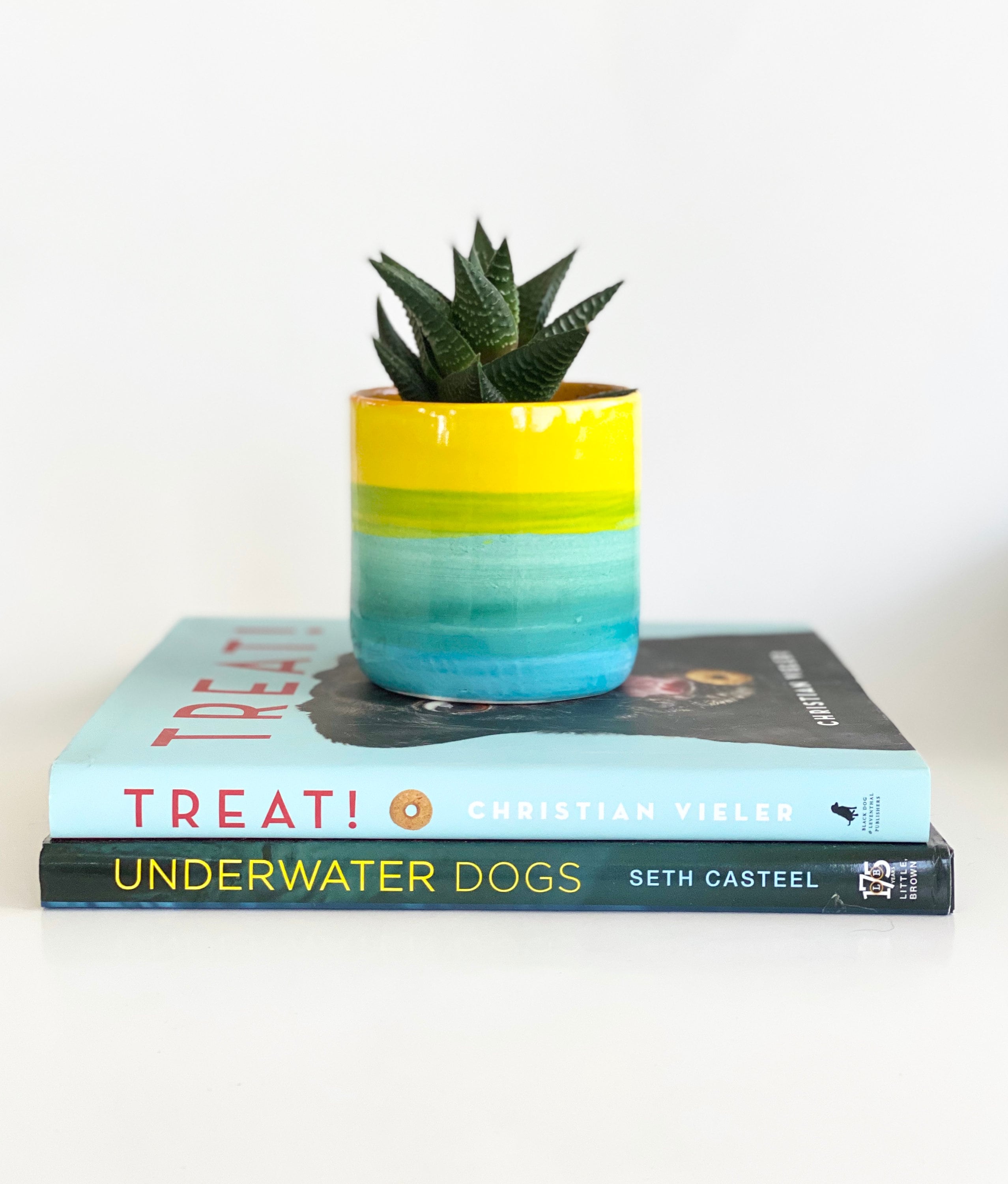 Rainbow Pot, Rainbow Planter, Rainbow Pottery, Colorful Planter