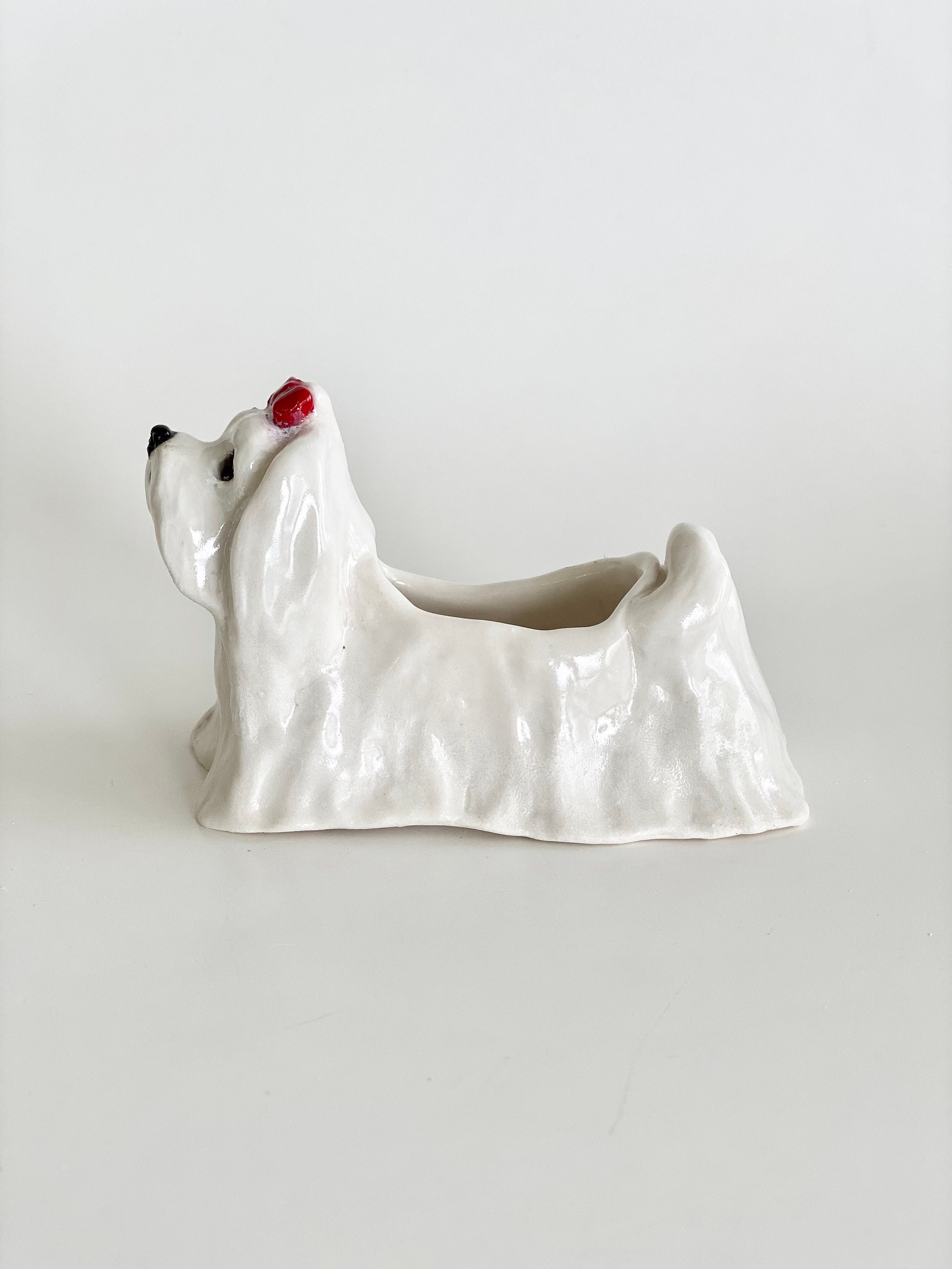 Mini Maltese, Air Planter, Handmade Maltese Sculpture, Air Plant Holder