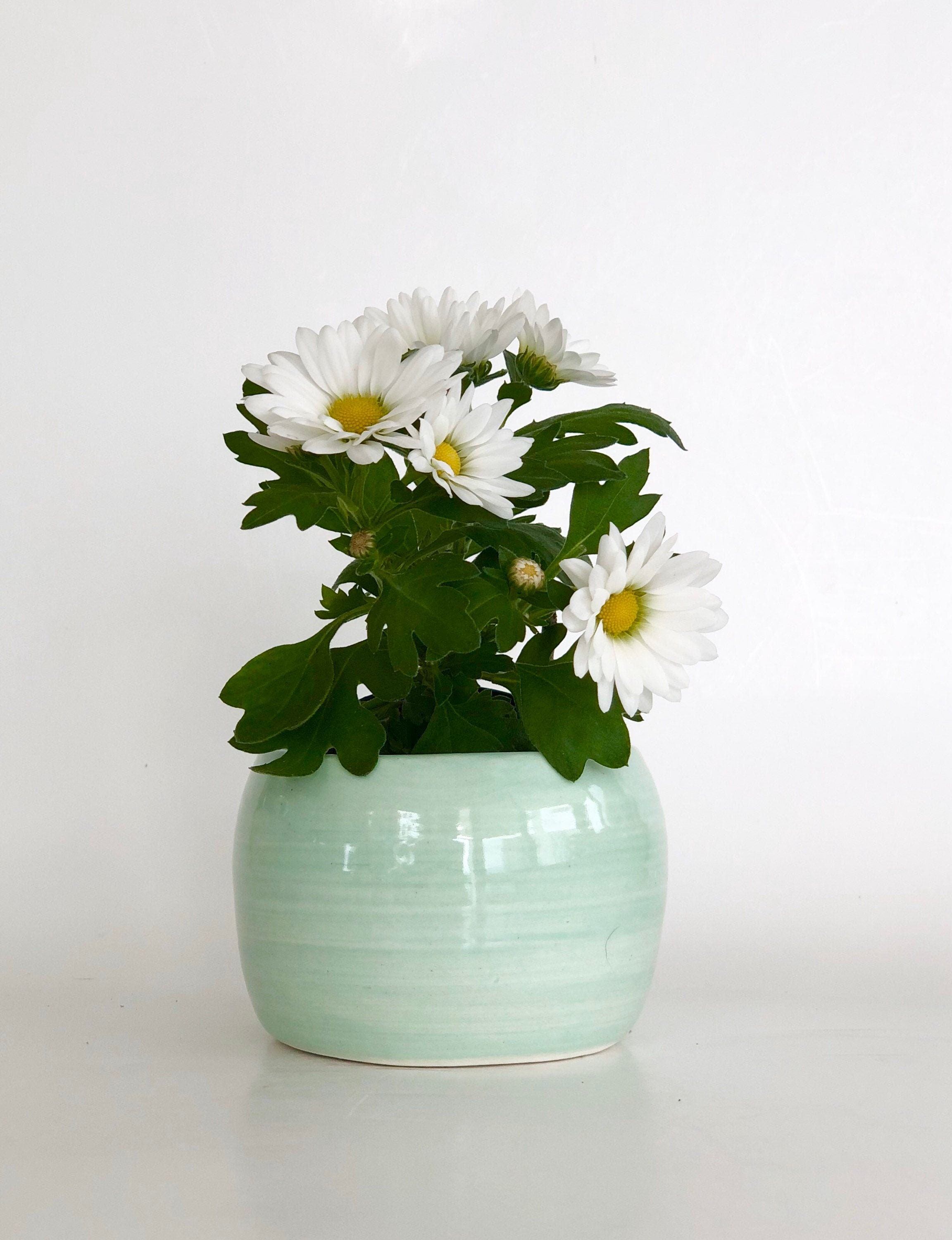 Mini Green Pot, Light Green Planter, Planter Pot, Mini Succulent Pot