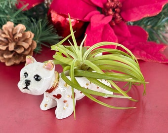 Westie Air Planter Westie Art Handmade Westie Sculpture Dog Mom Gift West Highland Terrier Air Planter Westie Mom Dog Art Gift Mom Westie