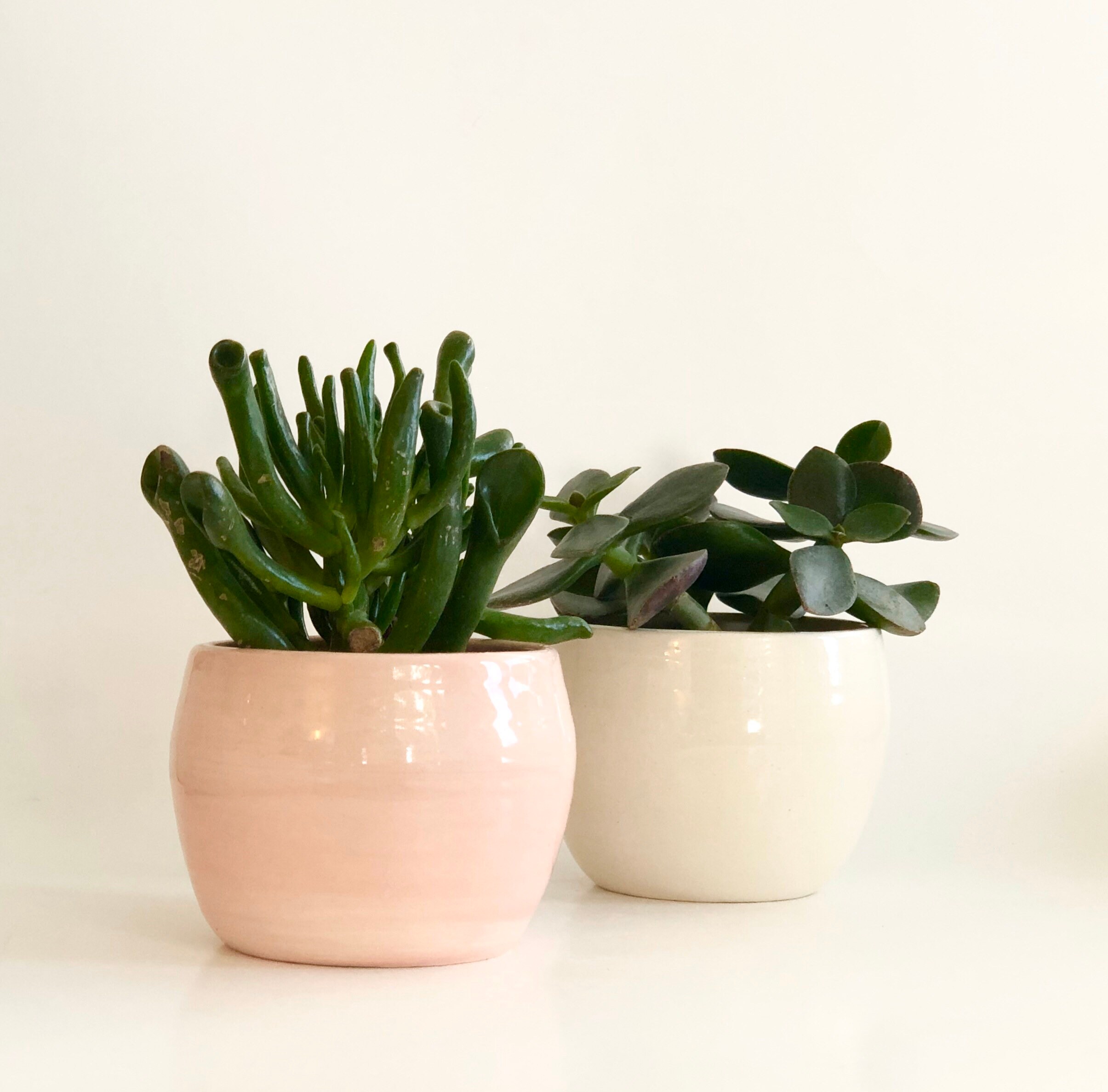 Mini Pink Planter Pot