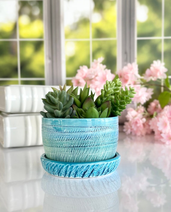 Piccolo vaso da fiori blu succulente in ceramica turchese vaso di cactus in  ceramica fatto a mano finestra interna pianta da giardino mamma compleanno  fioriera inaugurazione della casa -  Italia