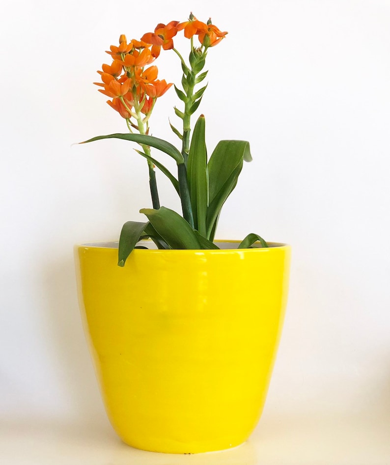 Yellow Planter No Drainage Holes