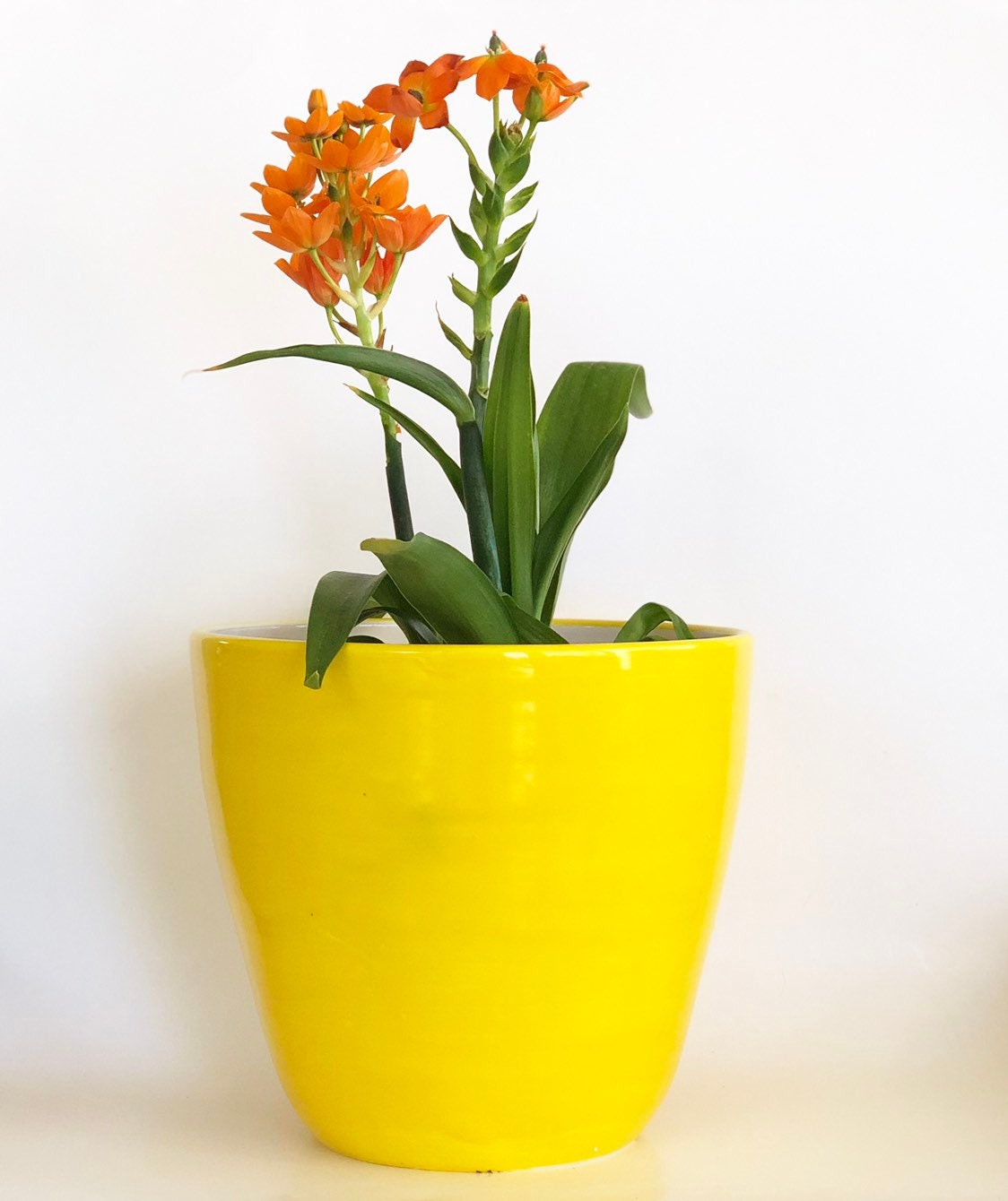 Yellow Planter, Bright Yellow Planter, Boho Planter, Boho Style Pot