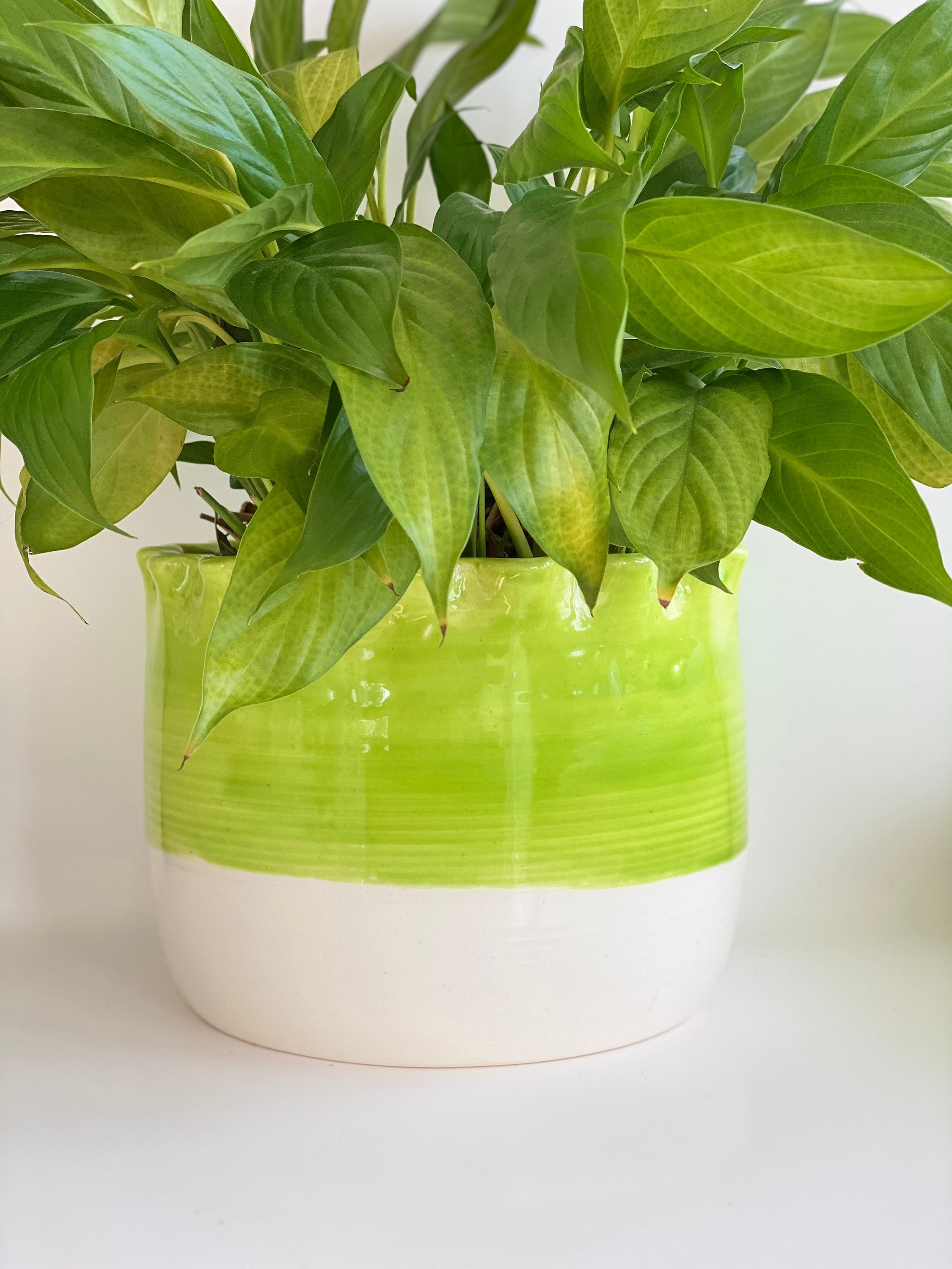 Lime Green Pot Lime Planter Pot Chartreuse Planter Etsy